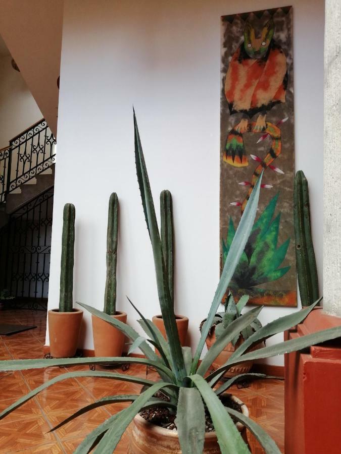 Bed and Breakfast Casa Agave Oaxaca Exterior foto