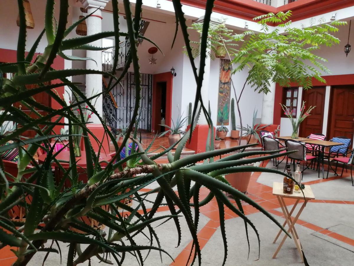 Bed and Breakfast Casa Agave Oaxaca Exterior foto